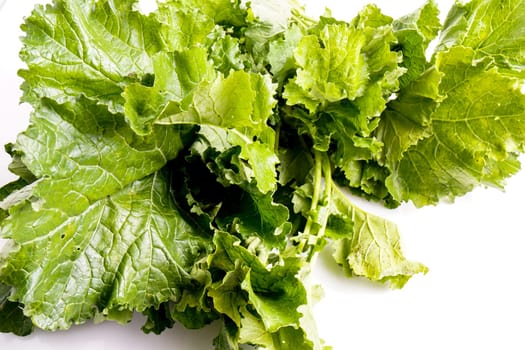 Cime De Rapa, turnip greens, fresh healthy italian vegetable, isolated on white