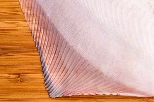 fresh raw flounder fin, ready for cooking