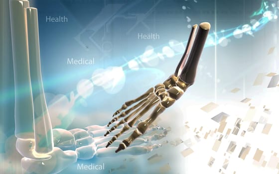 Digital illustration of Leg bone in colour background