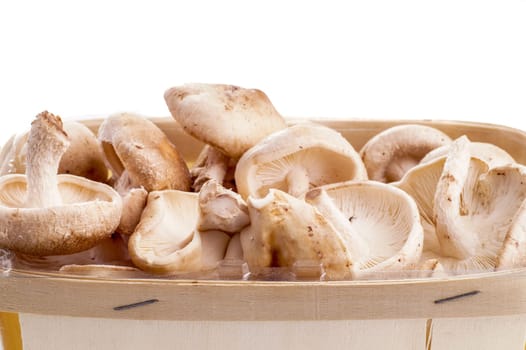 Basket of Shiitake mushrooms isoleted on white