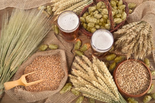 two beer glasses with wheat,barley,hops and malt