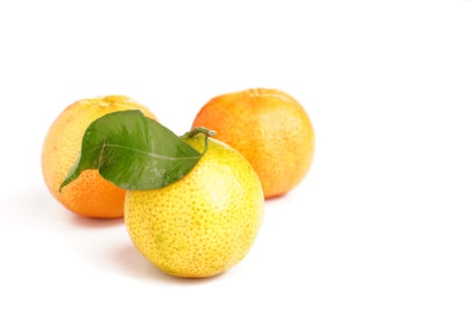 fresh organic clementines picked with green leaves, isolated on white