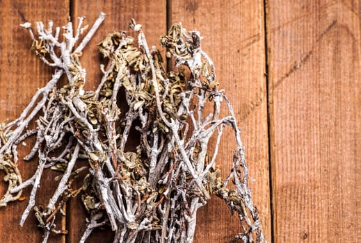 twigs, used as decorations materials for christmas