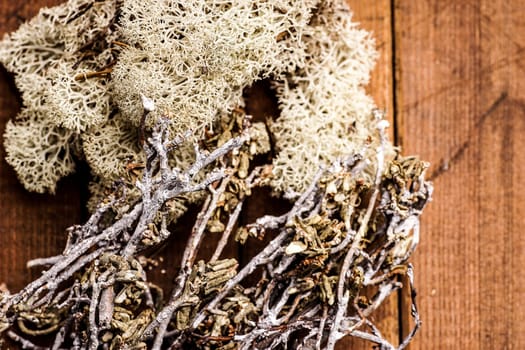 twigs and Reindeer Moss, for natural Decorations