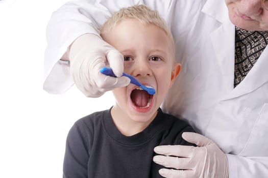 Young Boy gets help by the Dentist to brush his teeth, Isolated on white