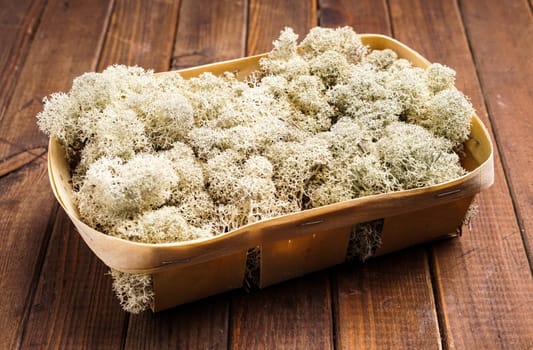 pile of White reindeer Moss, for decorations