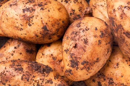 This spring&#39 s first potatoes just dug out of the ground , ready for cooking