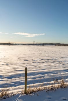 Winter Field in Umeå, Sweden with a mostly clear blue sky.