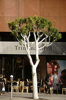 Los Angeles,United States - December 27,2015: A woman wearing a hood leaves the Trimana Grill at a shopping mall on Wilshire Boulevard on December 27,2015 in Los Angeles.
