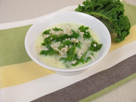 Green cabbage soup with greys