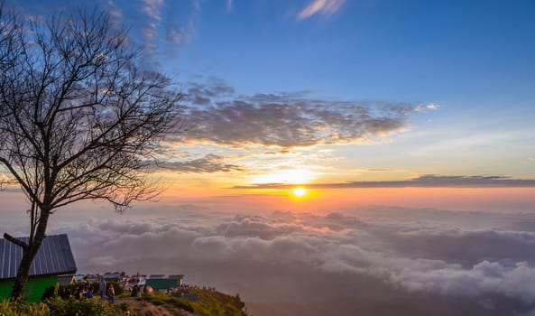 PHETCHABUN, THAILAND - SEPTEMBER 26, 2015 : Silhouette of leafless tree and tourists looking on beautiful rising sun in the early morning over sea of fog on hill of Phu Tub Berk in Phetchabun, Thailand