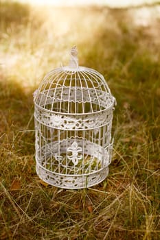Decorative Birdcage