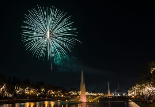 Beautiful night view of fireworks in the park with illuminated fountain