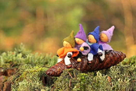 Four gnomes ride on a spruce cone