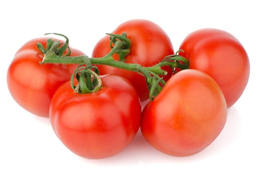 Red ripe tomato vine isolated on white background.