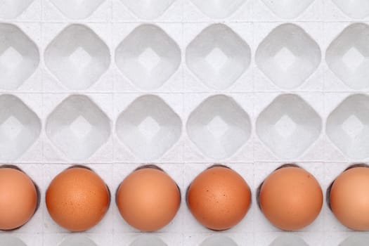 brown egg with package background, paper box top view