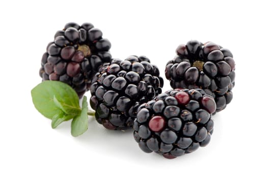 Blackberries with leaves isolated on white background.