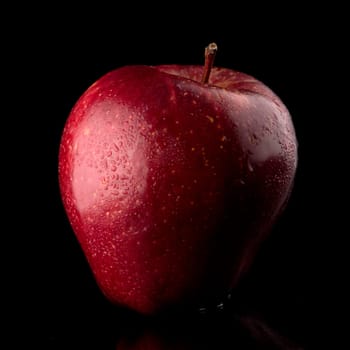 Fresh red apple with droplets of water against black background.