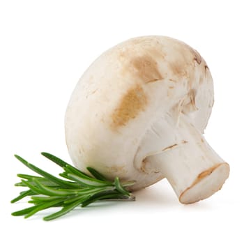 Champignon mushroom and parsley leaves isolated on white background