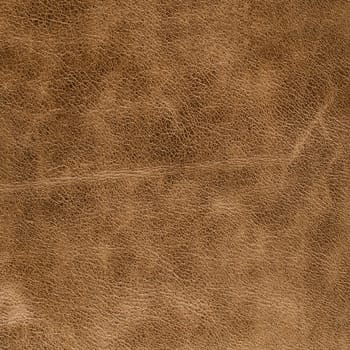 Brown leather texture closeup background.