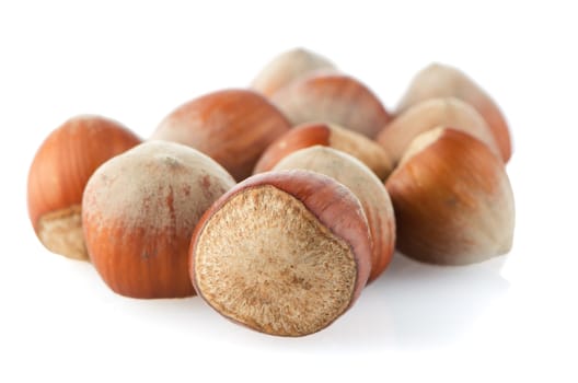 Tasty hazelnuts on a white reflective background.