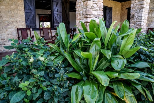 Porch and green plants with rocking chair