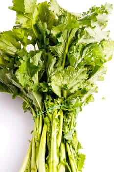 Cime De Rapa, turnip greens, fresh healthy italian vegetable, isolated on white