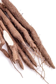 Fresh bunch of Black salsify, one cut and with white background