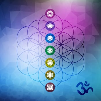 Sacred geometry abstract design, flower of life outline with main chakra symbols on gemetric low poly background. EPS10 vector.