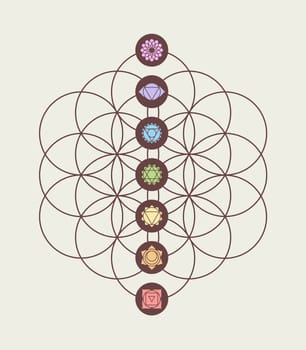 Main chakras on flower of life sacred geometry background, harmony and balance modern design. EPS10 vector.