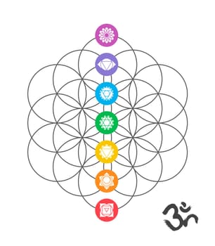Colorful icons, main chakras on flower of life. Sacred geometry illustration with handmade om calligraphy decoration. EPS10 vector.