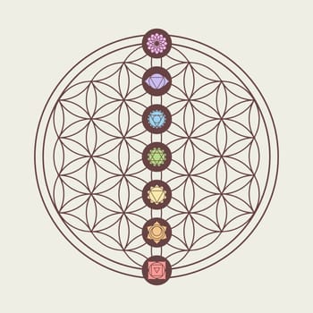 Zen concept illustration, seven main chakra icons placed on flower of life sacred geometry design. EPS10 vector.