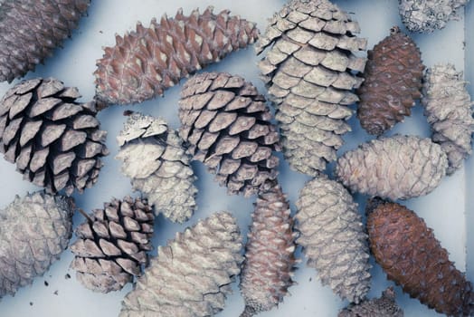 Top view of pine cones on wood background, concept hipster winter composition.