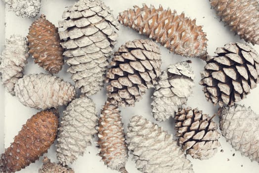 Vintage winter time composition, top view of pine cones on white wood texture.