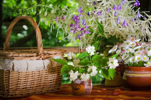 A bouquet of daisies in a pot on the table for a picnic