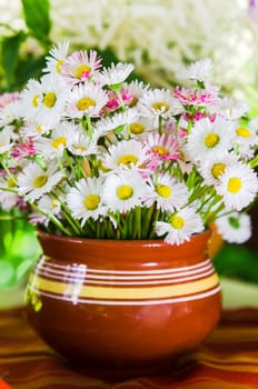 A bouquet of daisies in a pot at the table