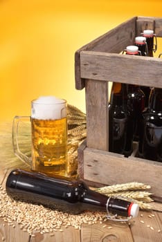 Beer box and beer glass with wheat,barley,hops and malt