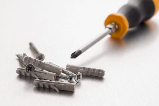 Screwdriver cross bit with screws and plastic dowels.