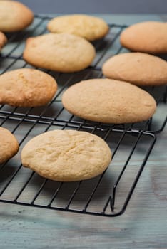 Delicious coockies on old wooden weathering table.