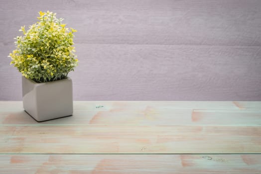 Small decorative plant in a ceramic vase on a wooden table.