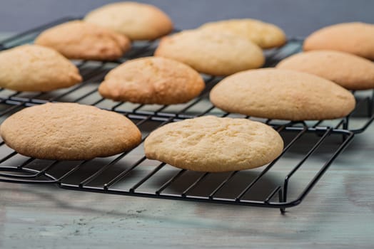 Delicious coockies on old wooden weathering table.