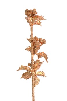 Golden Christmas decoration branches on white background.