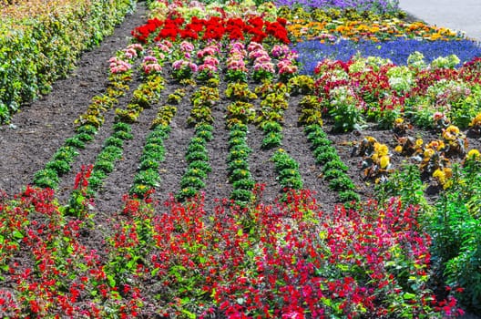 Colorful colorful flower bed with many different plant types.