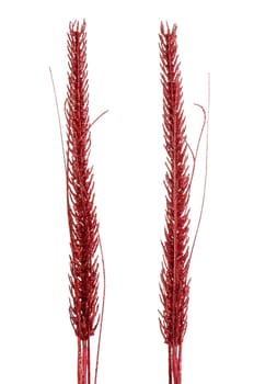 Red Christmas decoration isolated  on white background.