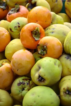 fresh fruits on green background