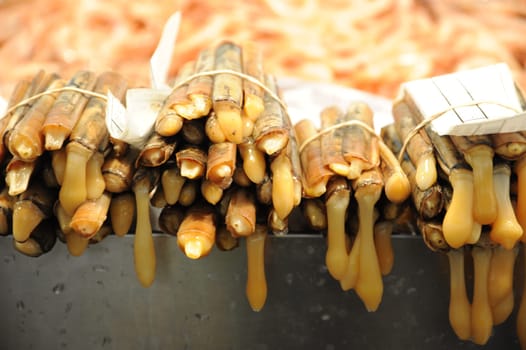 Sword mussels