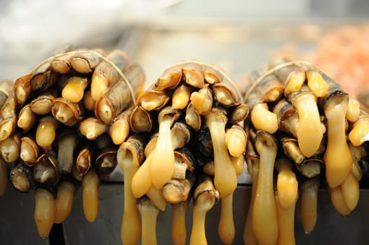 Sword mussels