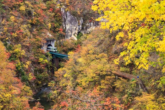 Autumn Colors of Naruko-Gorge in Japan for adv or others purpose use