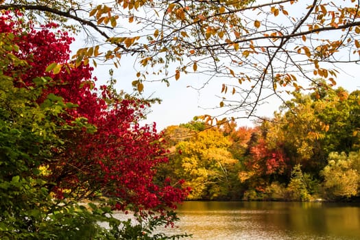 Autumn in the Central Park, New York, United States, view of the lake.