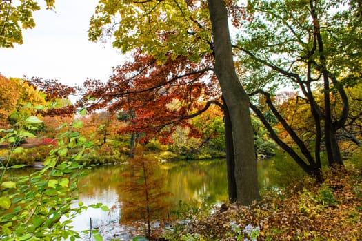 Autumn in the Central Park, New York, United States, view of the lake.